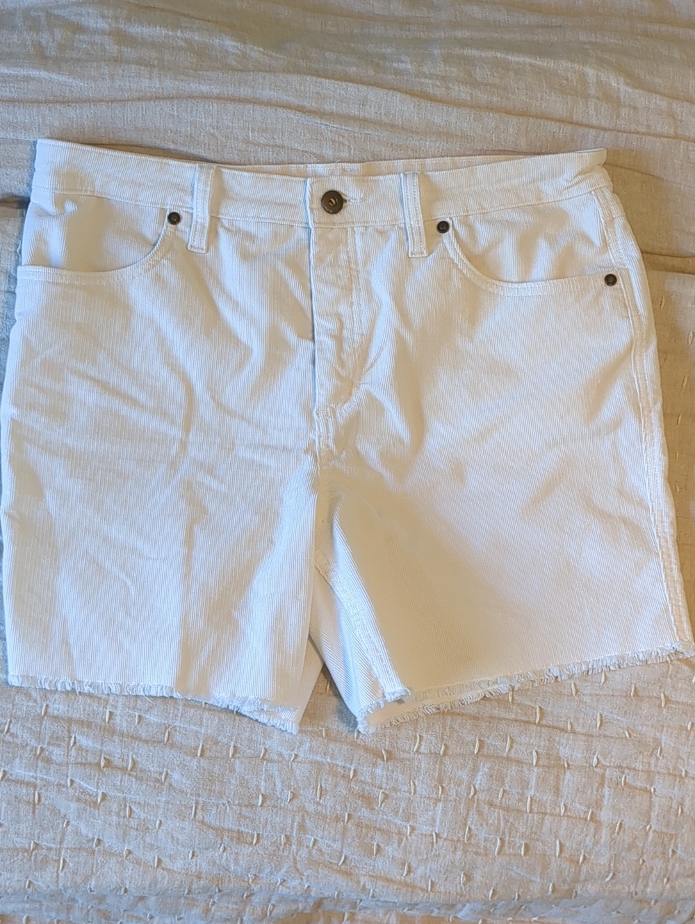 Carve Designs Oahu 6" Shorts